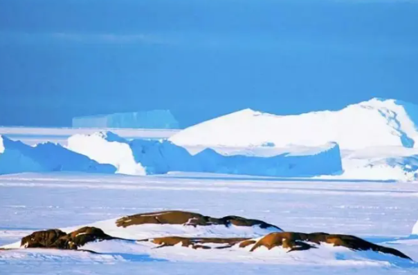 極寒環(huán)境.png 極寒環(huán)境.png