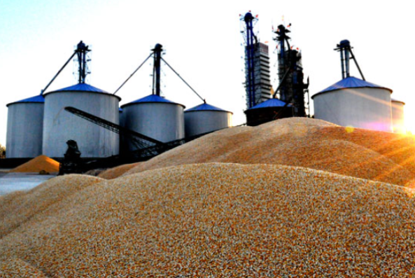 糧站稱重.png 糧站稱重.png